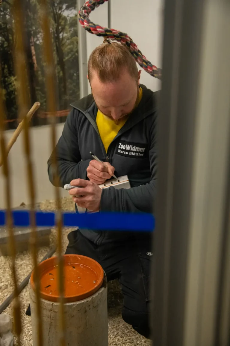 Mitarbeiter von Zoo Widmer, der Notizen macht und eine Kiste in einem Gehege überprüft.
