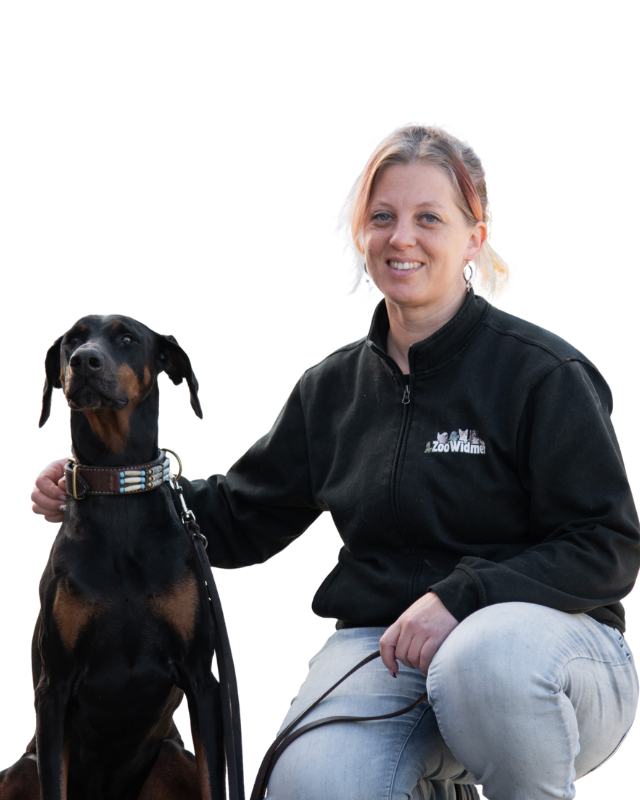 Frau mit einem Dobermann, die an einer Leine sitzt und freundlich in die Kamera lächelt.