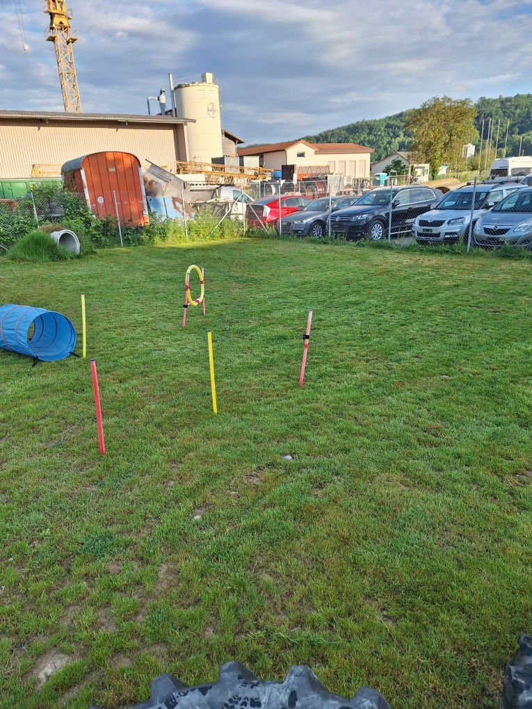 Hundeplatz_5
